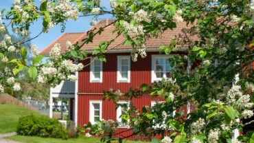 Just nu! Just nu!
