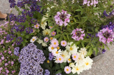 Trevlig midsommar